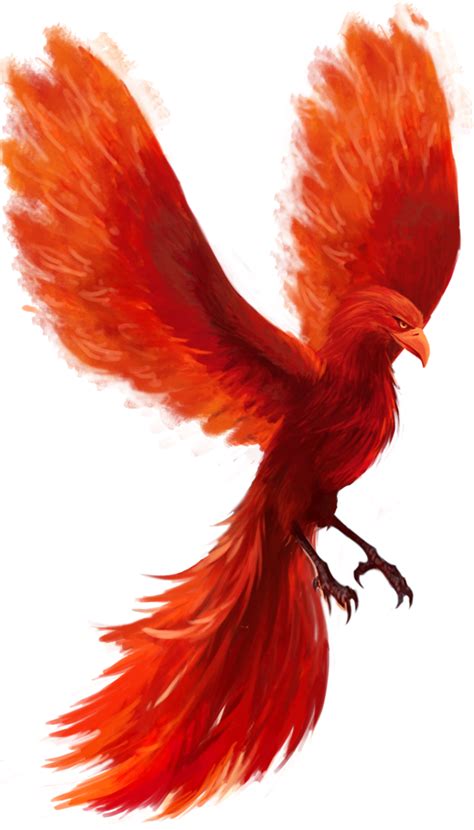 Phoenix Png Images Transparent Background Png Play