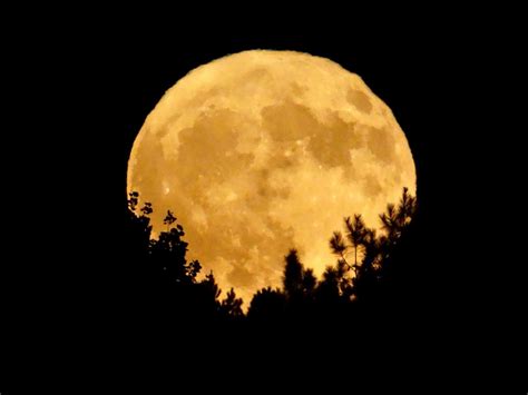 Full moon 2020: How to see Beaver Moon in the UK tonight | The Independent