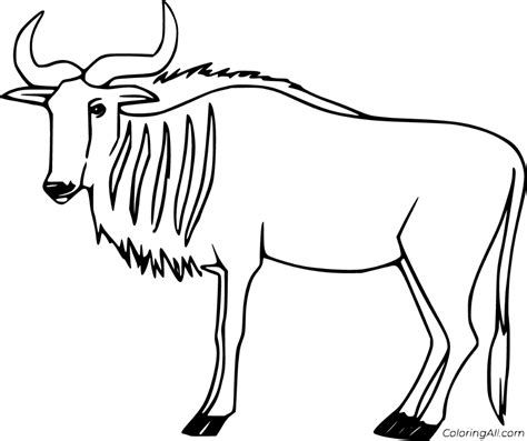 7 Wildebeest Coloring Page Terbaik 2021 Buku Gambar Mewarnai