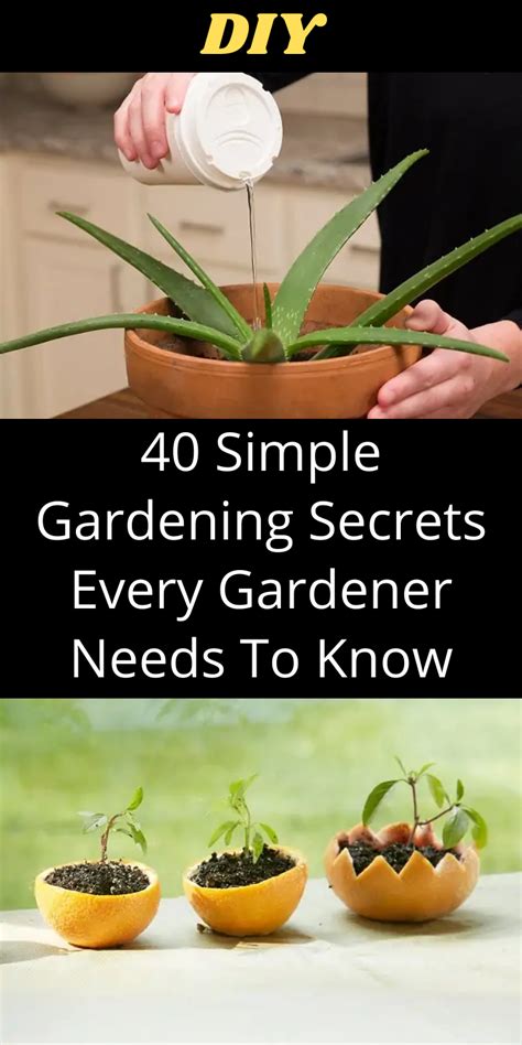 40 Best Kept Gardening Secrets Every Serious Gardener Ought To Know