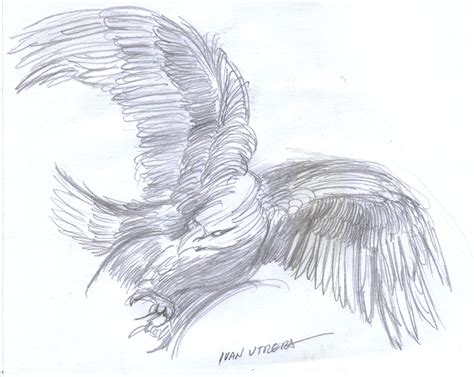 Aguila A Lapiz Dibujos Drawing Lapiz