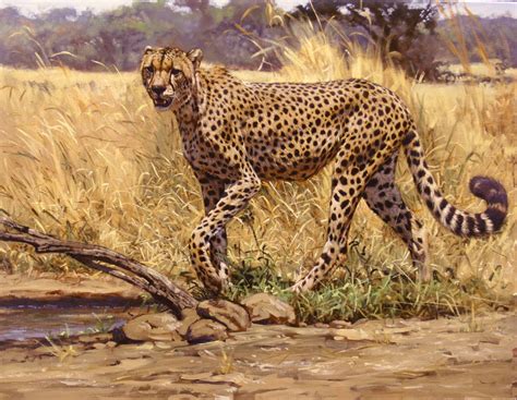 paintings wildlife | Wildlife paintings, Animal paintings, Animals