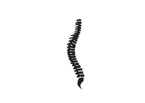 Spine Clipart Black And White Spine Black And White Transparent Free