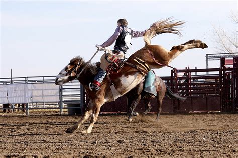 2021 Central Wyoming Fair and Rodeo Is A GO For July 9th -17th