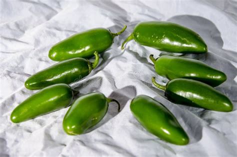 Eight Hot Green Jalapeno Peppers Stock Photo Image Of Reno Jalapa