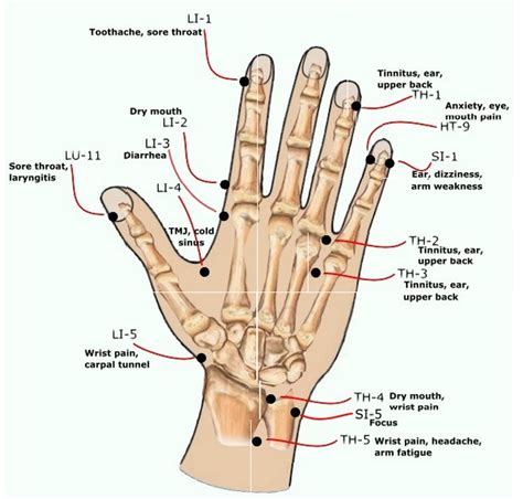 Healthmindbody Acupressure Points Of The Hand