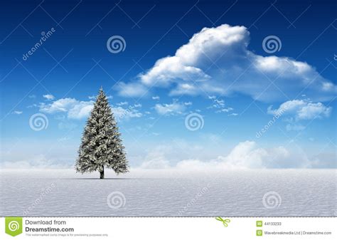 Fir Tree In Snowy Landscape Stock Illustration Illustration Of Woods