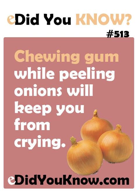 Did You Know 513 Chewing Gum While Peeling