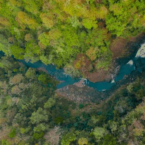 Drone Shot Of A Small Stream In The Forest Stock Image Image Of