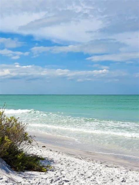 Relax And Unwind At Sand Key Park In Clearwater Fl Daily Life Travels