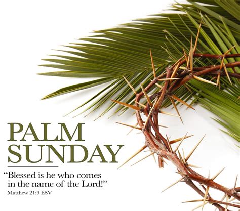 Incredible Compilation Of 999 Palm Sunday Images In Stunning 4k Resolution