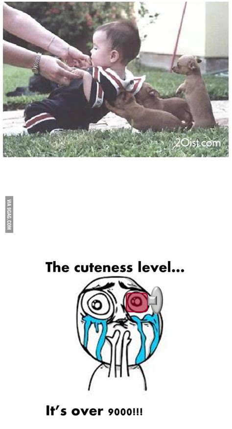 Cuteness Youre Doing It Right 9gag
