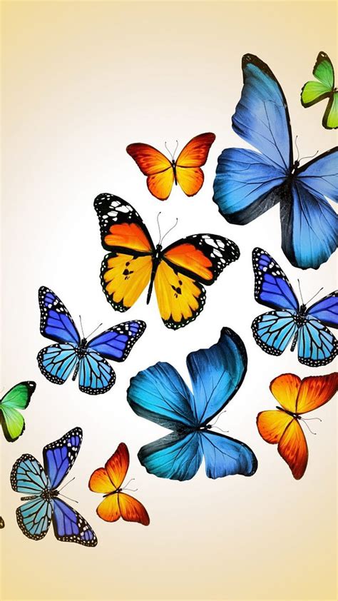 1920x1080px 1080p Free Download Butterflies Butterfly Hd Phone