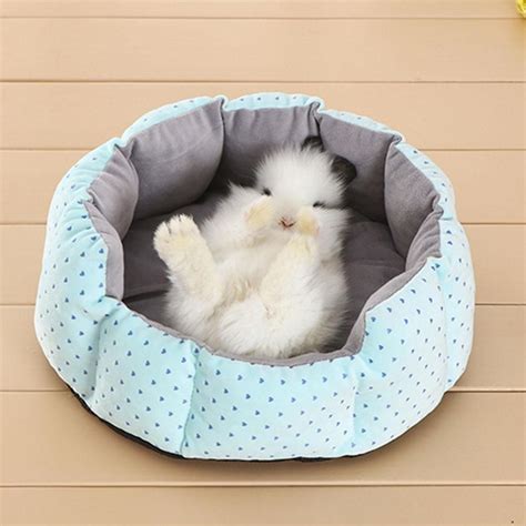 Get the best deals on rabbit hutches indoor other small animal supplies. Bunny Supply Co Pet Rabbit Bed | Pet bunny, Pet rabbit ...
