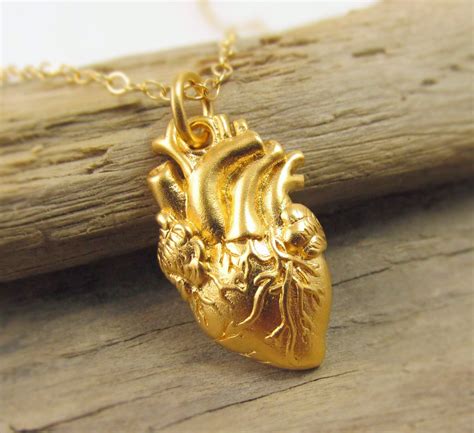Gold Anatomical Heart Necklace Heart Organ Necklace