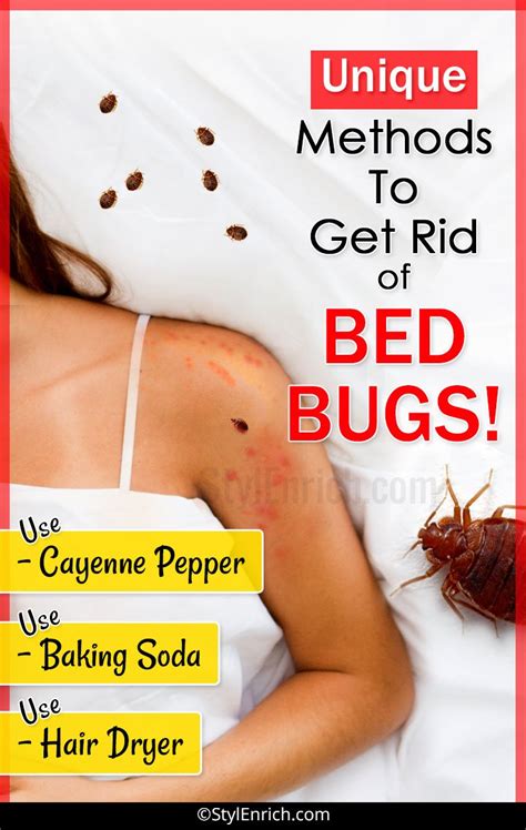 How To Get Rid Of Bed Bugs Lets See Unique Methods