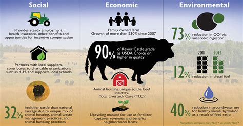 Sustainable Beef ⋆ Revier Cattle Company