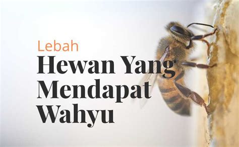 Lebah Hewan Yang Mendapat Wahyu