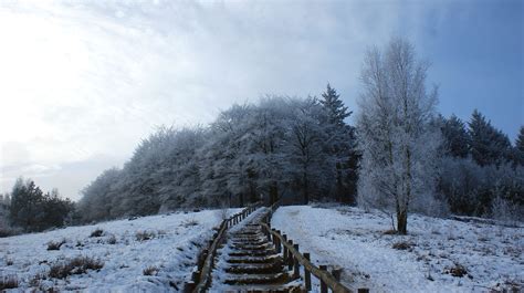 Free Images Tree Nature Forest Mountain Winter White Air Frost