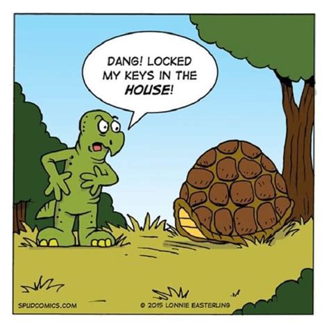 Turtle Humor Dad Jokes Rwildliferehabberhumor