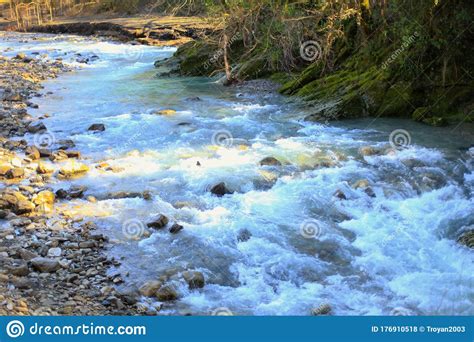 Beautiful Landscape Of Mountain River In Forest Bright Panorama Of