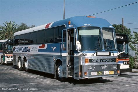Gl7908 Nov89 Eagle 15 Greyhound Bus Greyhound Bus Coach