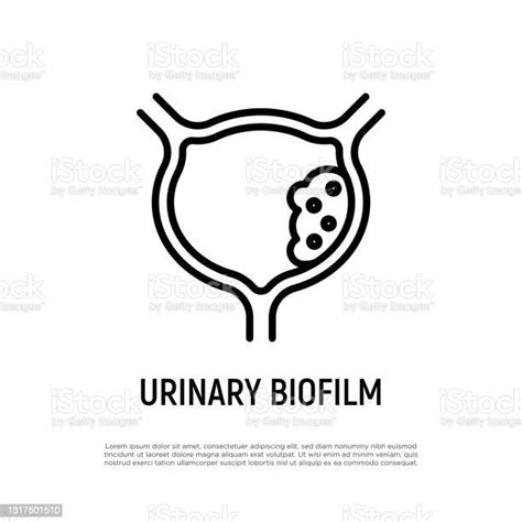 Biofilm Kemih Ikon Garis Tipis Infeksi Saluran Kemih Ilustrasi Vektor