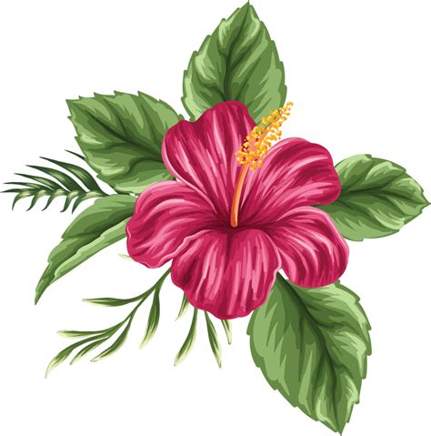 A Pink Flower With Green Leaves On A White Background