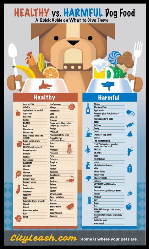 A Quick Guide On What Kinds Of Food To Give Your Dogs 4knines Dogs