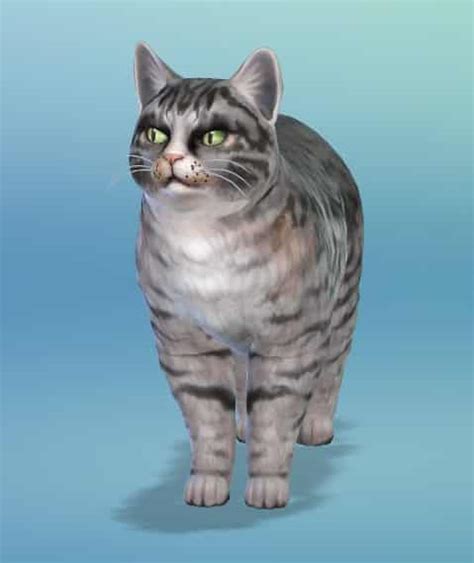 Mod The Sims The Sims 4 Cats And Dogs New Screens By Simguruemory