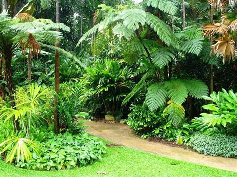 Jardines Tropicales Small Tropical Gardens Tropical Garden Design