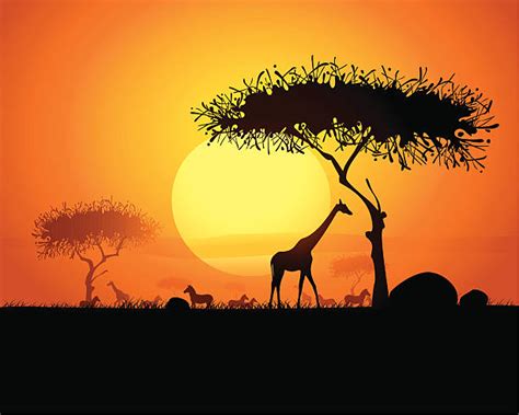 Safari Animals Clip Art Vector Images And Illustrations Istock