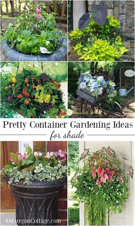 12 Beautiful Ideas For Shade Loving Flower Planters Container Herb