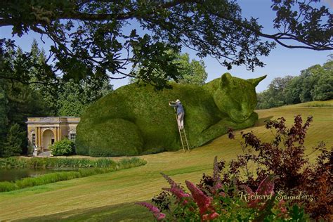 Art Monie Richard Saunders Topiary Cat