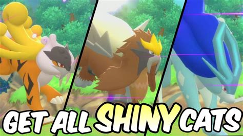 Get All SHINY Legendary Cats In Pokemon Brilliant Diamond Shining Pearl YouTube