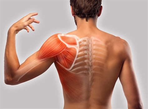 Several variations of the diagnosis may be made, in order to know what kind of damage to your shoulder. Ways to Relieve Pain In Between Your Shoulder Blades ...
