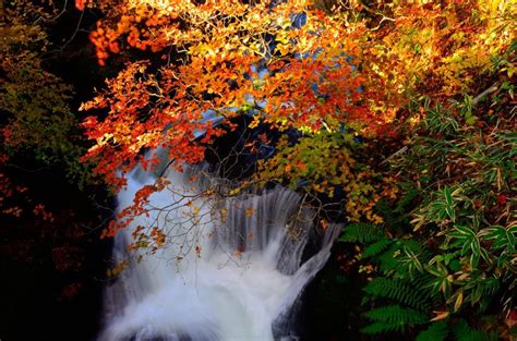 25 Beautiful Autumn Waterfall Pictures Waterfall Pictures Autumn