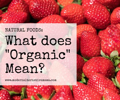 What Does Organic Mean