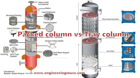 Packed Column Vs Tray Column Engineering Muse