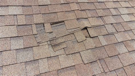 The Most Common Issues Found During Roof Inspections Alco Roofing
