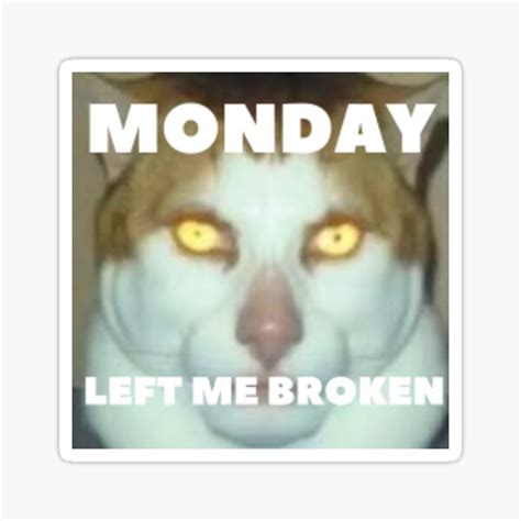 Monday Left Me Broken Cat Sticker For Sale By Serenadesigns Redbubble