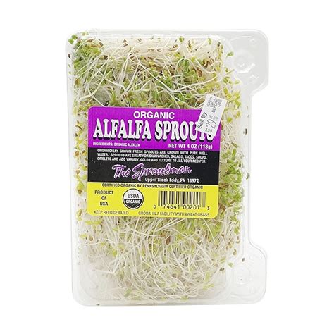 Organic Alfalfa Sprouts At Whole Foods Market