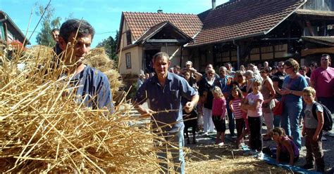Hindisheim Fête Des Récoltes Dantan Les Paysans Dautrefois Célébrés