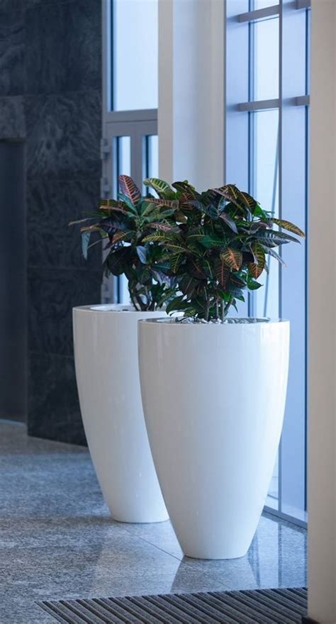 The Top 5 Benefits Of Office Planters Taylor Made Planters