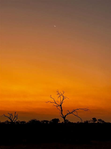 Safari Sunset By Iphone Elephant Plains Game Lodge Sabi Flickr