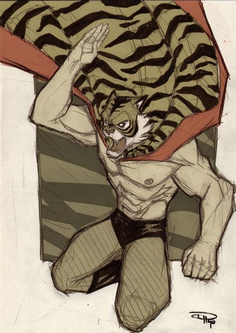 Tiger Mask Anime Uomo Tigre Personaggi Dei Cartoni Animati Cartoni