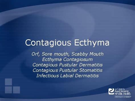Contagious Ecthyma Orf Sore Mouth Scabby Mouth Ecthyma