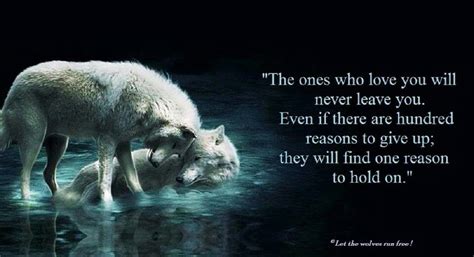 Forever Wolf Quotes Lone Wolf Quotes Wolf Pack Quotes