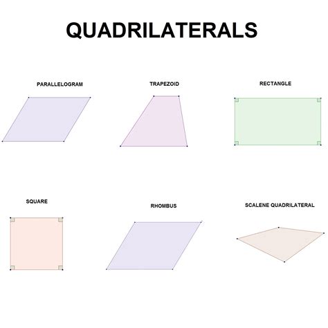 A quadrilateral inscribed in a circle (also called cyclic quadrilateral) is a quadrilateral with four vertices on the circumference of a circle. What are the types of quadrilaterals?