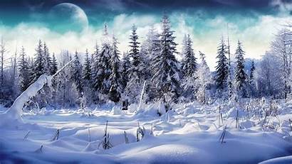 Snow Winter Fall Wallpapers Phone